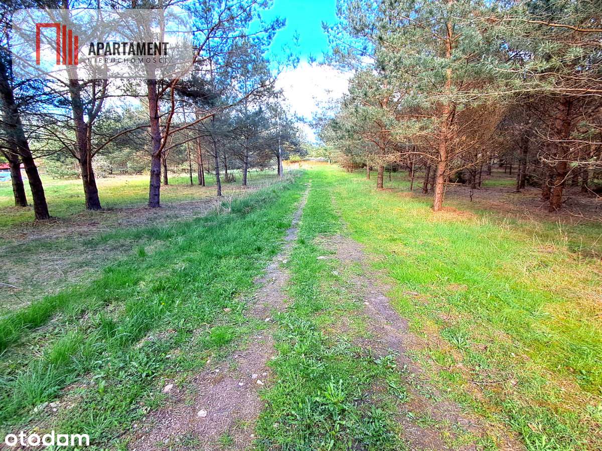 Nowa cena!Działka budowlana  800 m do jeziora!!! - Pełny obrazek: 4/8