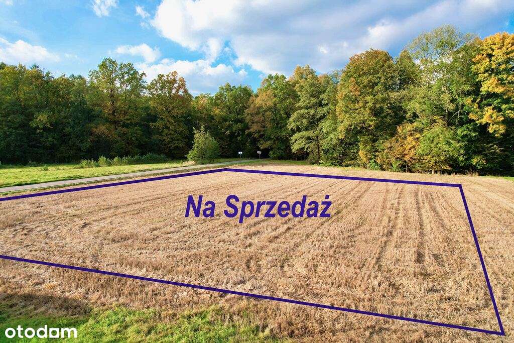 Pierściec , na sprzedaż działki w uroczym zakątku - Pełny obrazek: 2/12