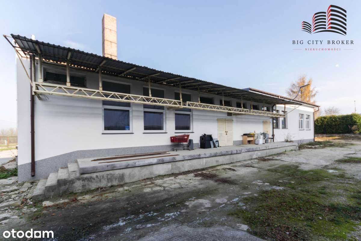 Hala handlowo-usługowa - Pełny obrazek: 5/11