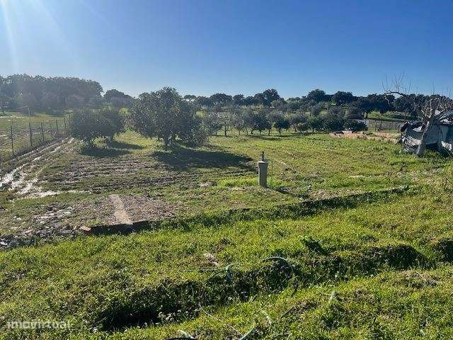 Quintinha, para venda, Viana do Alentejo - Viana do Alentejo - Grande imagem: 5/13