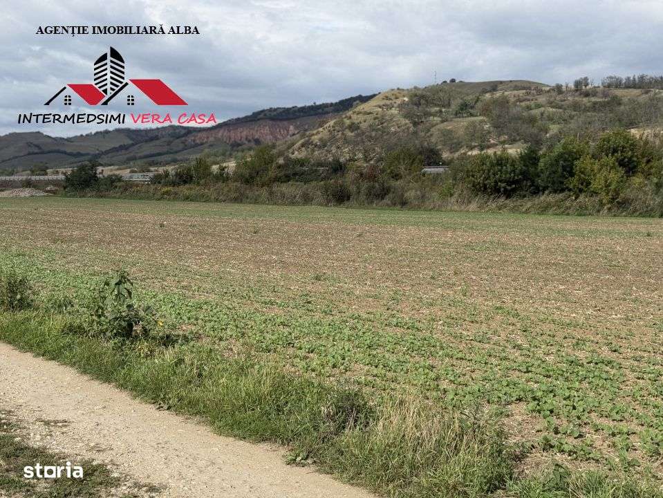 Teren extravilan 7400 mp de vanzare la iesire din  Sebes spre Daia-1