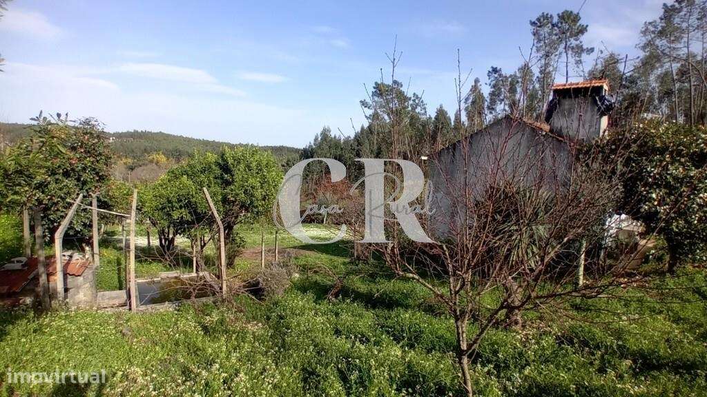 Moradia em pedra em Figueiró dos Vinhos com terreno e poço de água-23