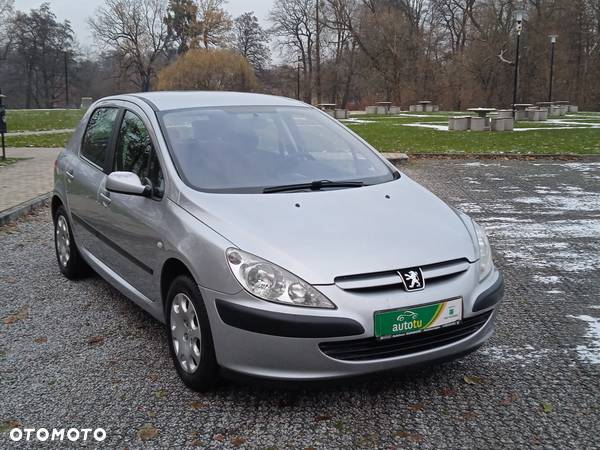 Peugeot 307 1.6 Premium - 34