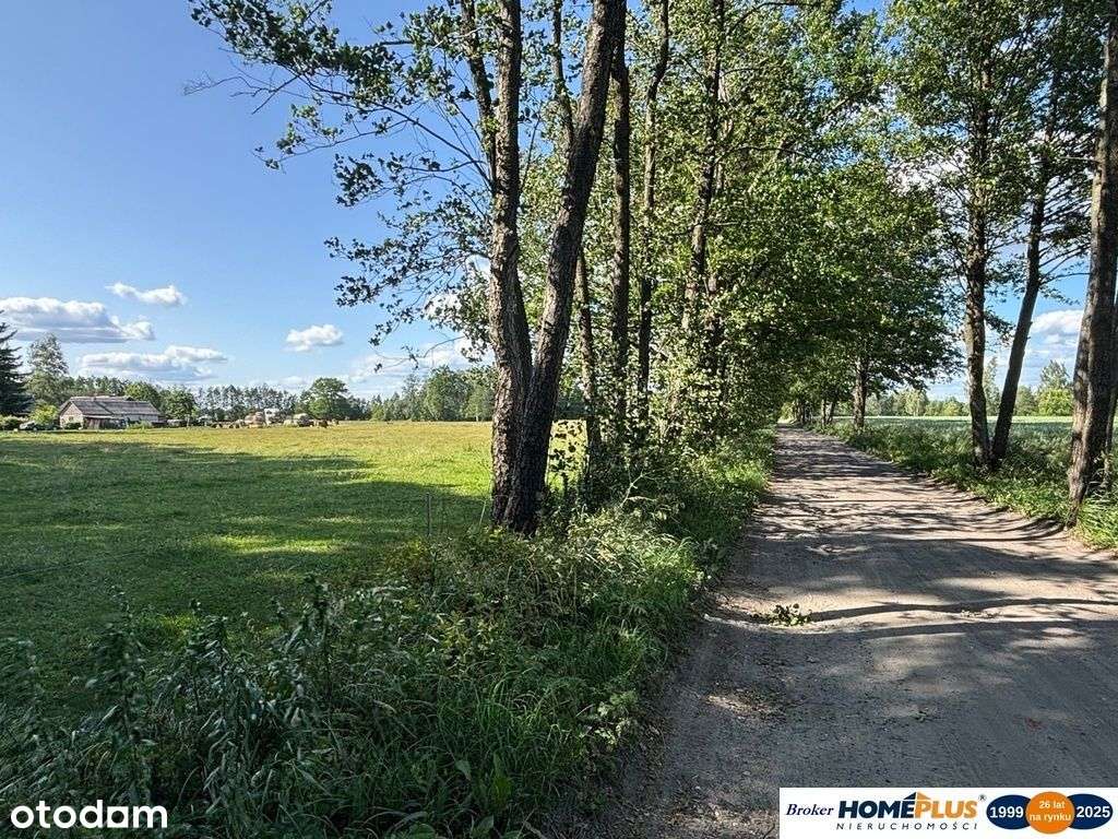 Ziemia rolna 1,25 ha niedaleko Warszawy - Pełny obrazek: 5/5