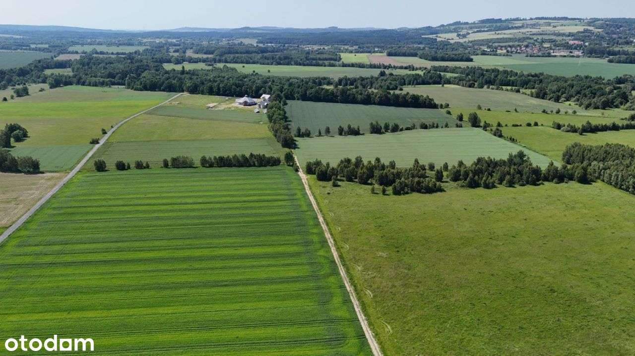 Działka, 46 000 m², Mroczkowice - Pełny obrazek: 4/5