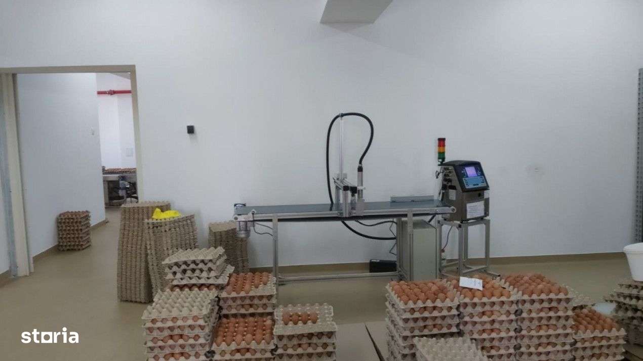 DE VÂNZARE Hala producție oua consum-5