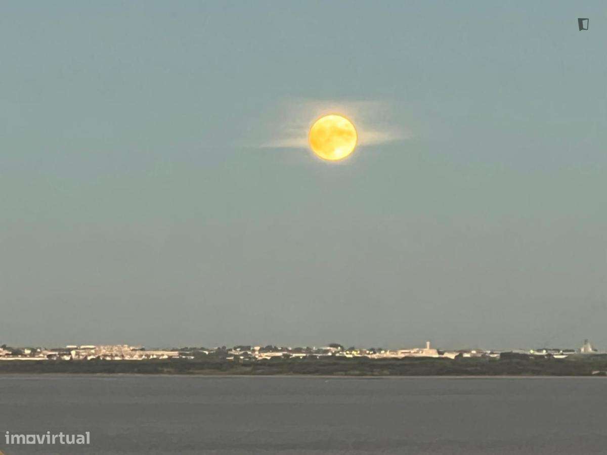 Casa com 1 quartos - localizado em Marvila Lisbon - Grande imagem: 2/6