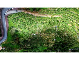 Terreno para 1ª habitaçao - Grande imagem: 5/18