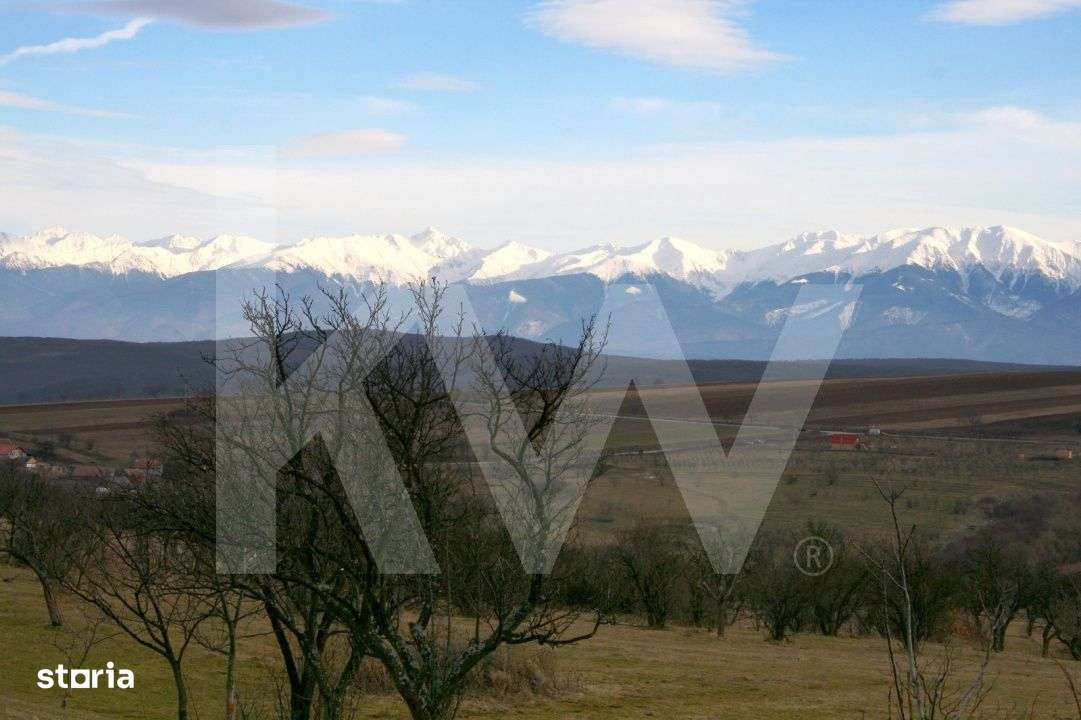 Teren de vanzare in Daia, Sibiu – 600 mp, priveliste superba spre mu - Imagine principală: 5/6