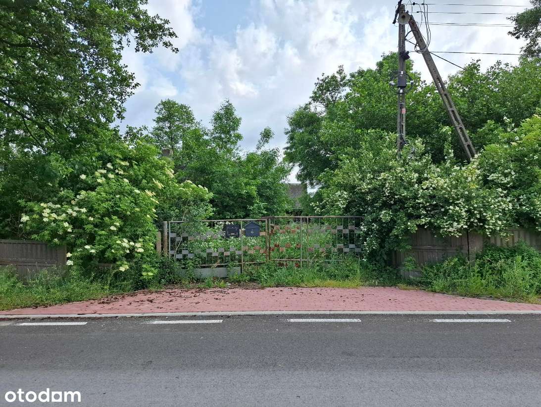 Działki 14 000 mkw, 3 km od miejscowości Ujazd. Stasiolas - Pełny obrazek: 4/5