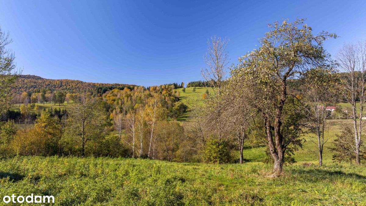 Jezioro Solińskie | Zobacz film | Bieszczady-12