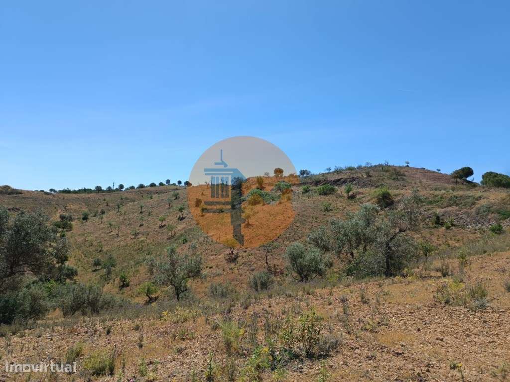 TERRENO COM 8.720 M2 - COM POÇO - PRÓXIMO A CORTE DO GAGO EM CASTRO... - Grande imagem: 5/28