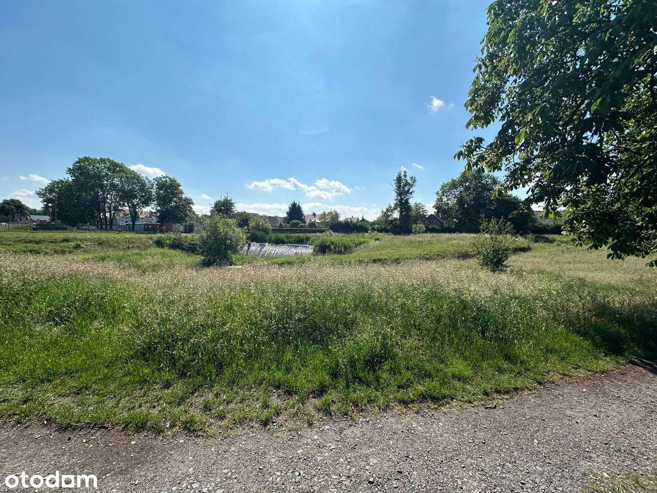 Nieruchomość z potencjałem - zabudowania/działka-14