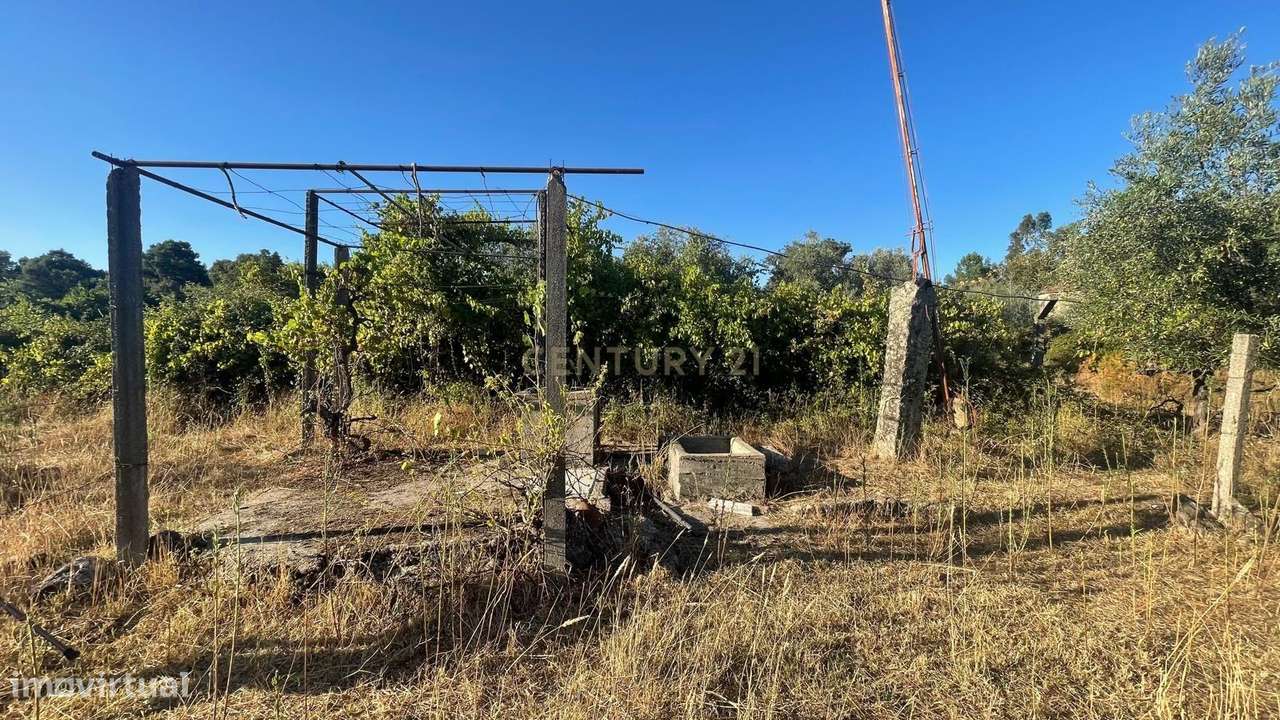 Terreno rústico em Aldeia do Bispo, Penamacor - Grande imagem: 4/12