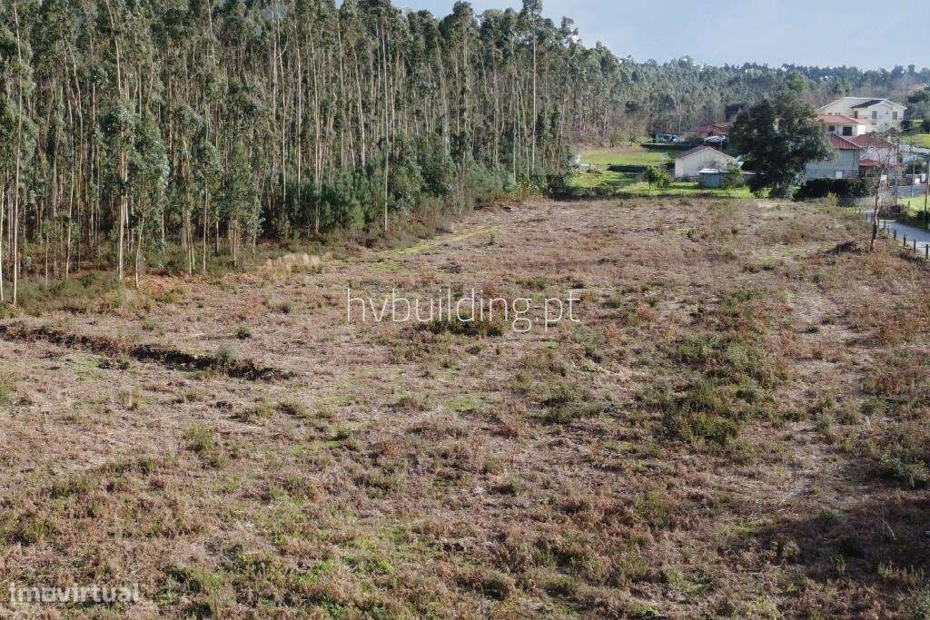 Terreno com potencial de investimento em Igreja Nova, Barcelos-6