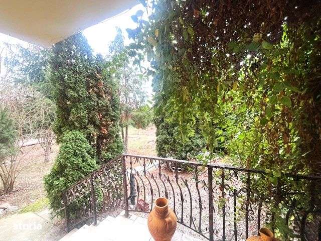 Proprietate cu 1566 mp teren intravilan si Case de locuit+ anexe - Imagine principală: 3/19