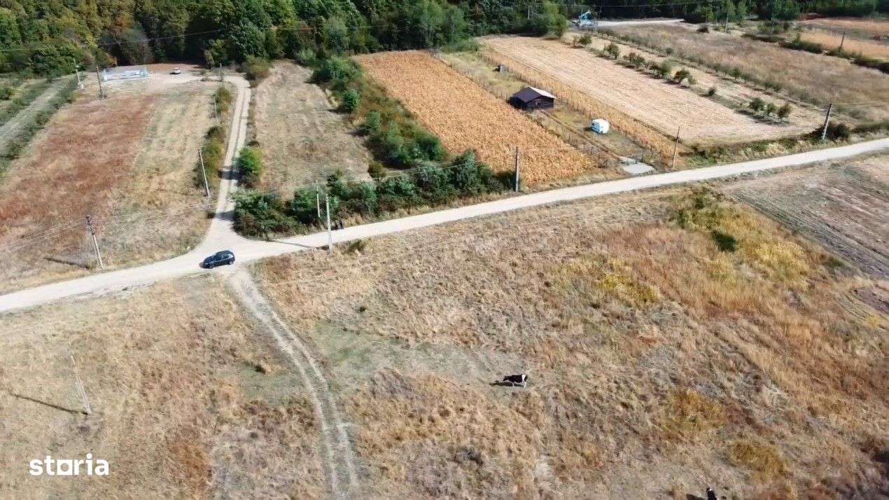 Teren Mosoaia cu potential de dezvoltare - Imagine principală: 3/4