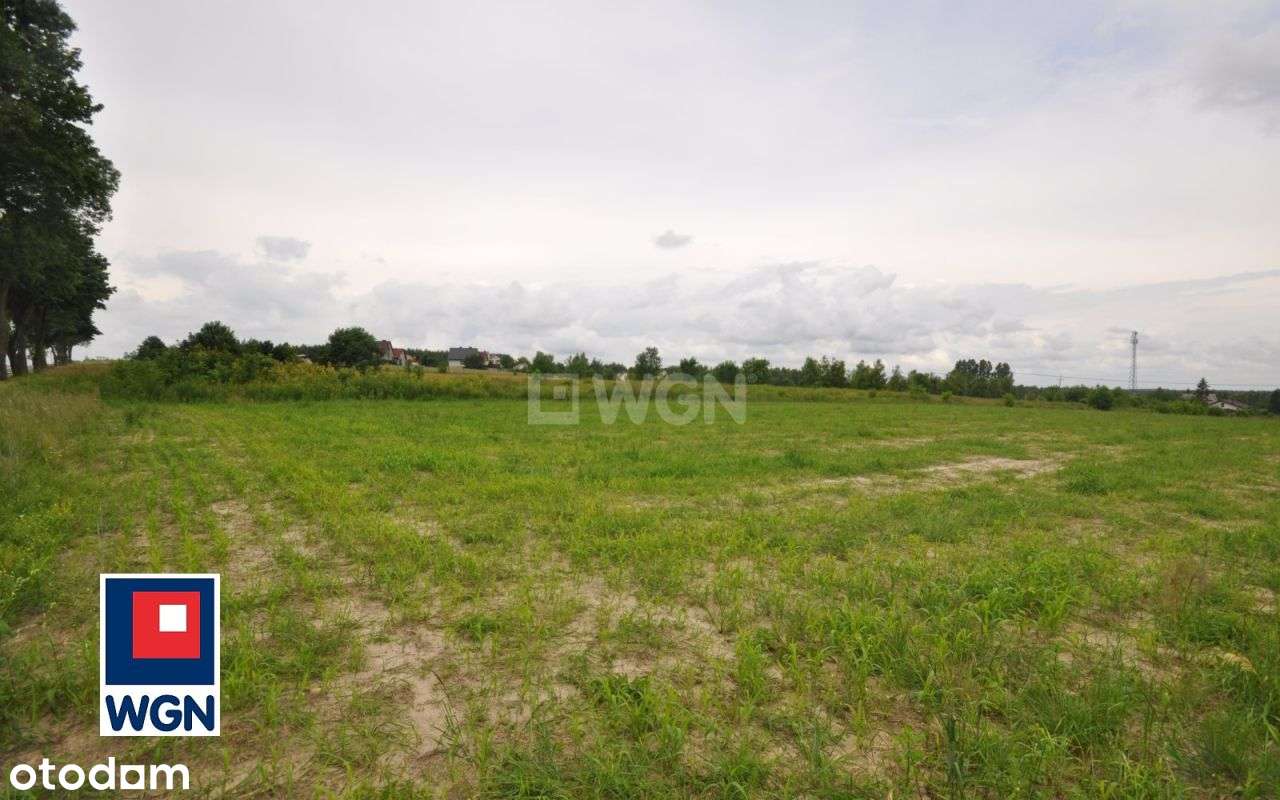 Działka, 2 993 m², Kodrąb-13