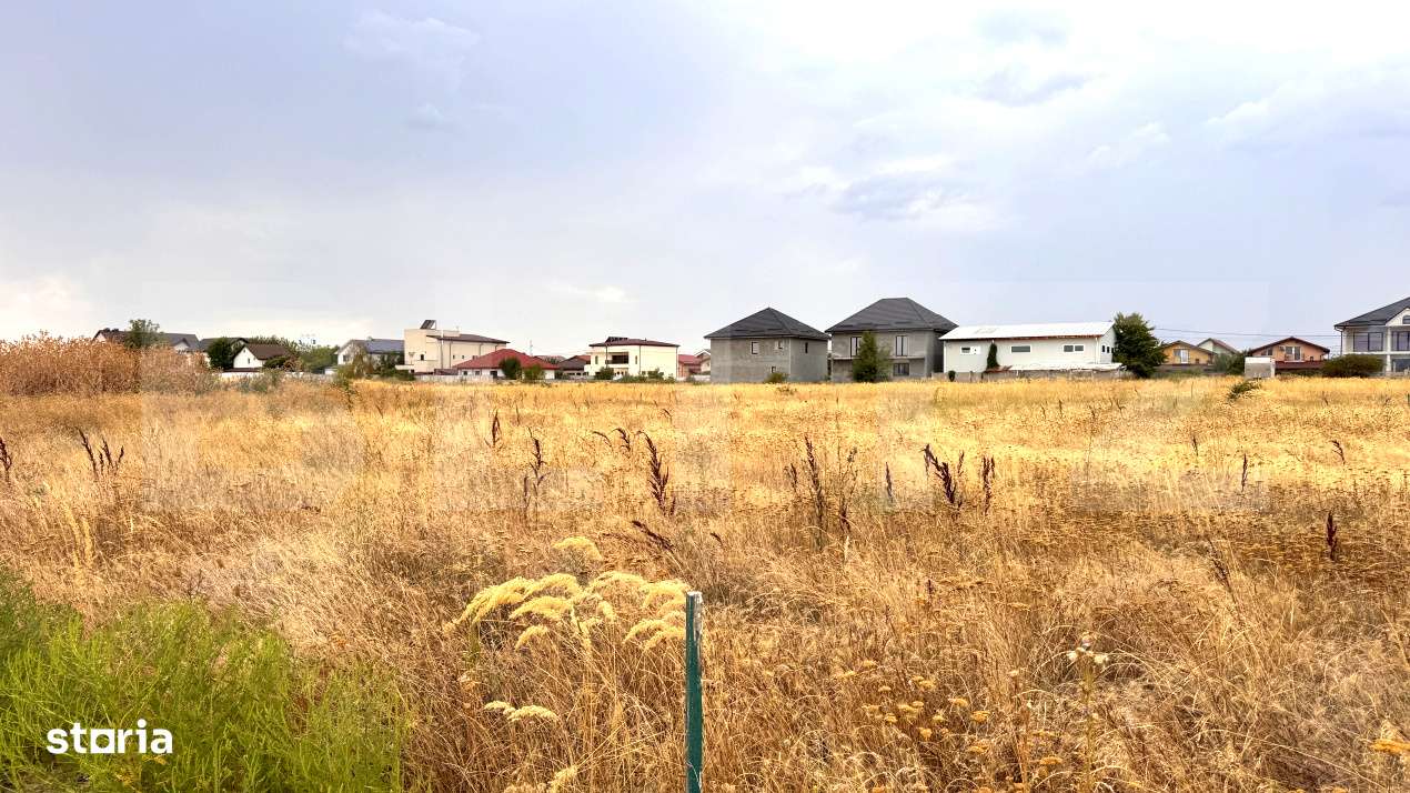 Teren intravilan 1.000 mp, front 30 mp, zona Magnolia - Imagine principală: 5/7