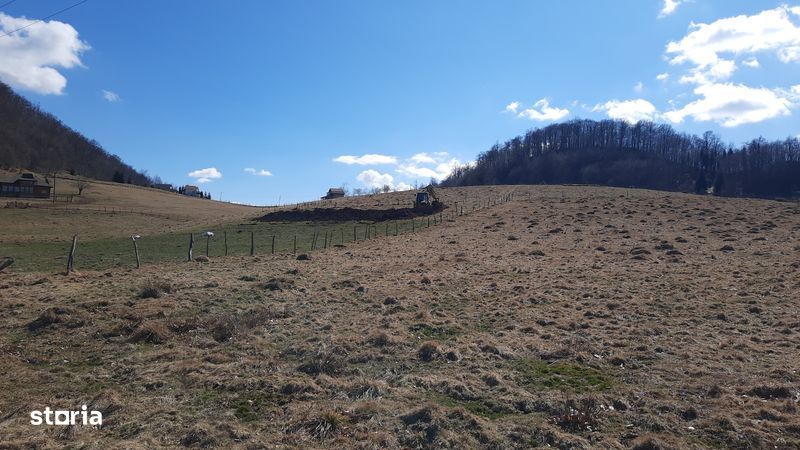 Teren la munte  Ciocanu  Dambovicioara Satic Sirnea Bran