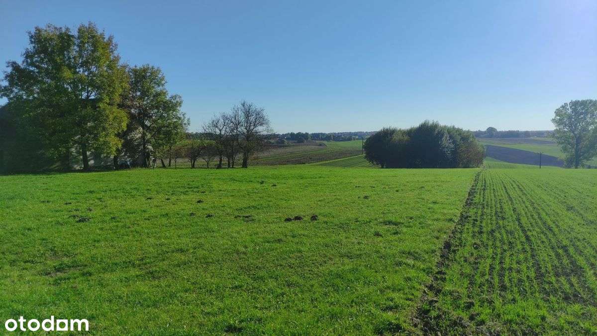 Działka w Tarnawie - Pełny obrazek: 3/11