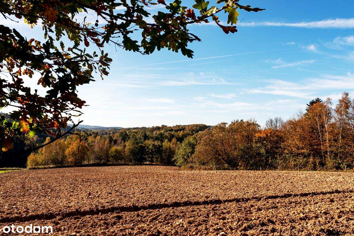 Działka, 14500.0 m², Kołkówka - Pełny obrazek: 4/5