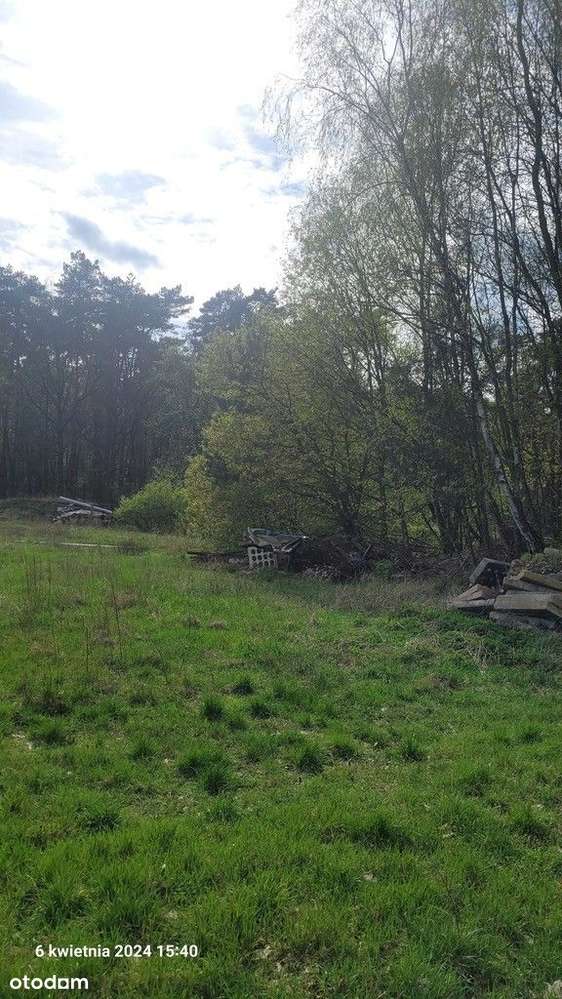 Działka, 41 606 m², Sierakowo-5