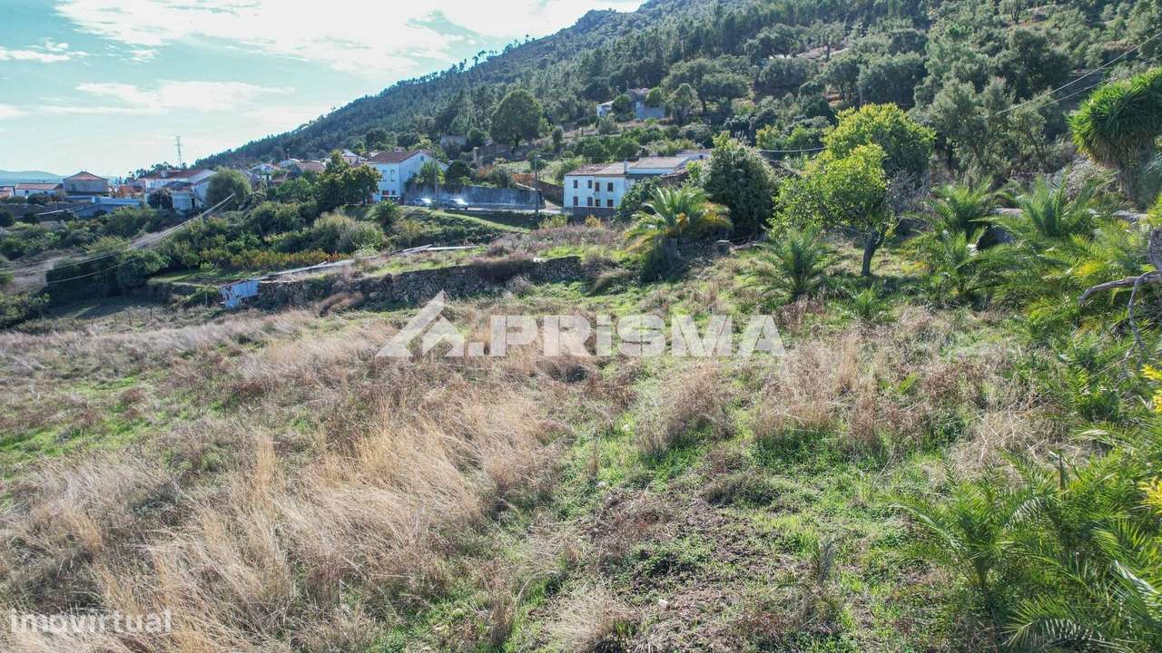 Quintinha com 6.080m2 e construção em Xisto para venda em Gavião de Ró - Grande imagem: 4/33