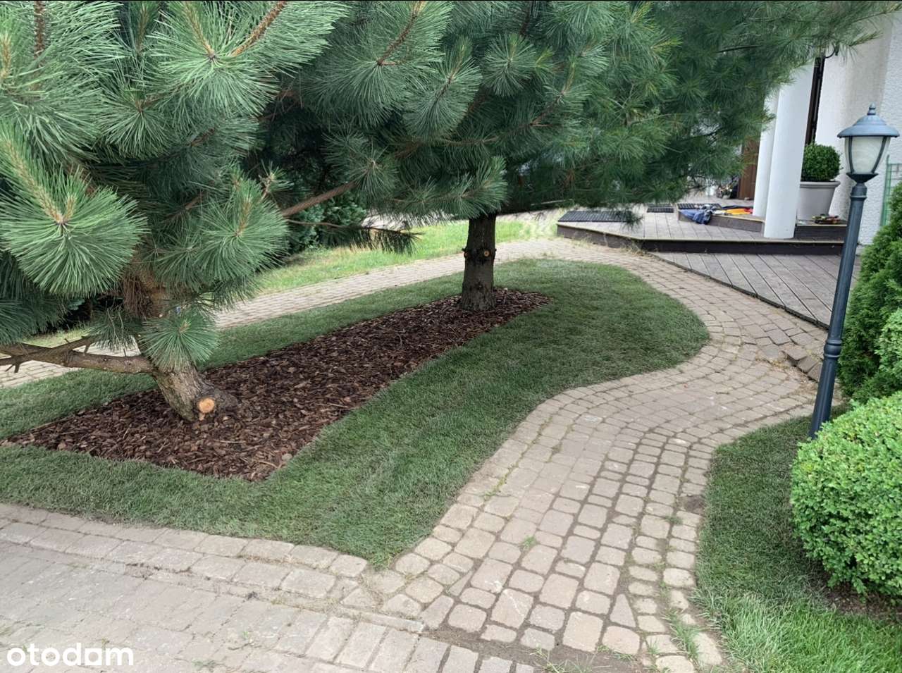 Dom wolnostojący Kielno - Pełny obrazek: 4/19