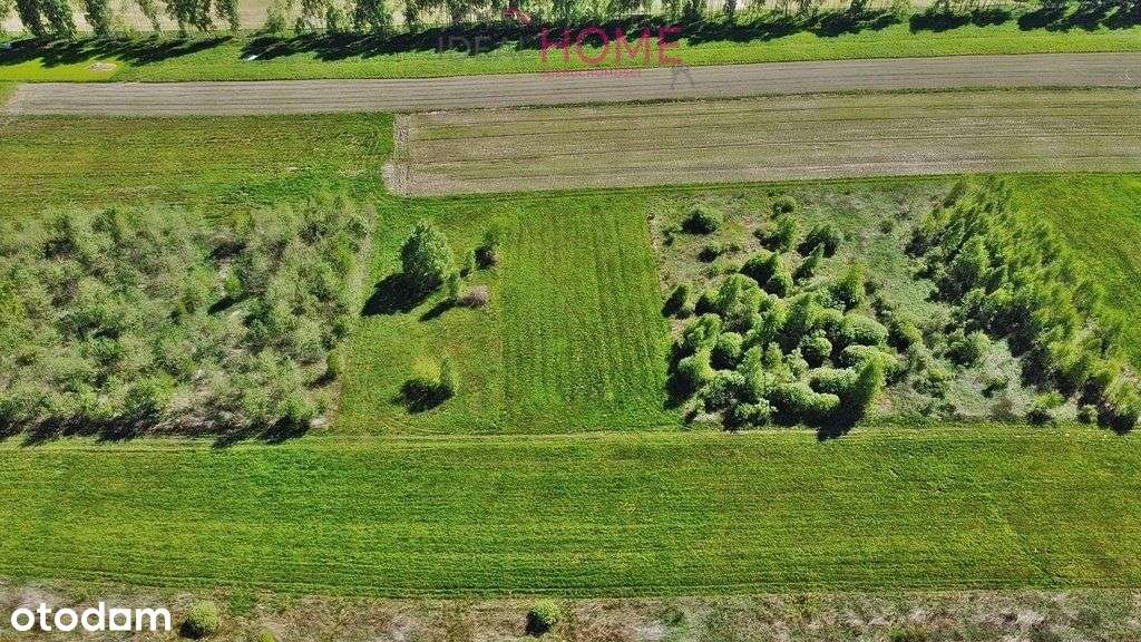 Działka na sprzedaż w Krzywej - Wz w realizacji - Pełny obrazek: 2/6