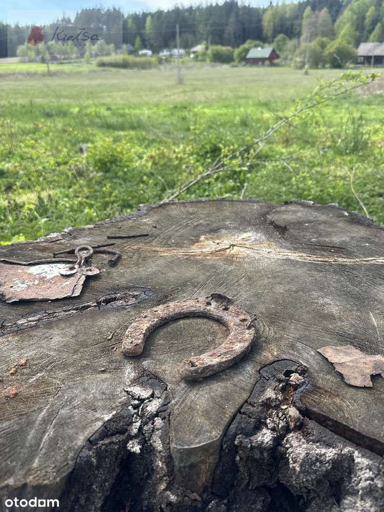 Pięknie położone działki - Rowek, gm. Szudziałowo-8