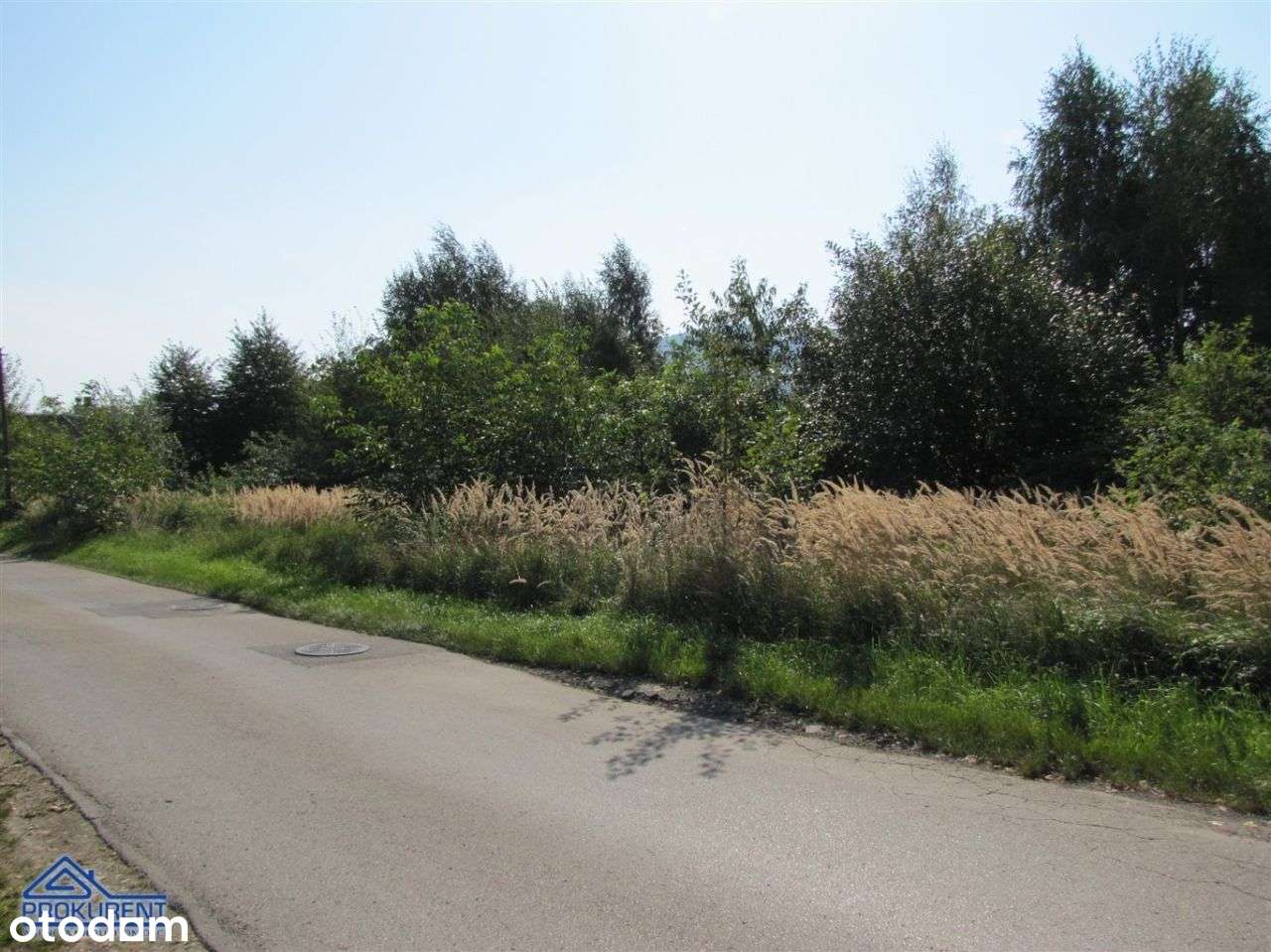 Działka, 2 395 m², Kobiernice-2