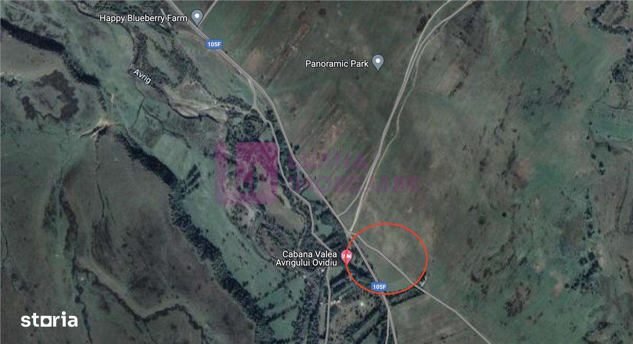 Teren intravilan 5.000 mp | Valea Avrigului | front dublu - Imagine principală: 4/4