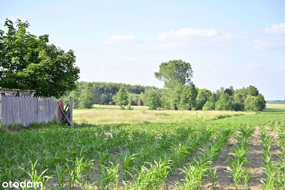 Dom na działce 1 ha - Równe okolice Łochowa 1,2ha-4