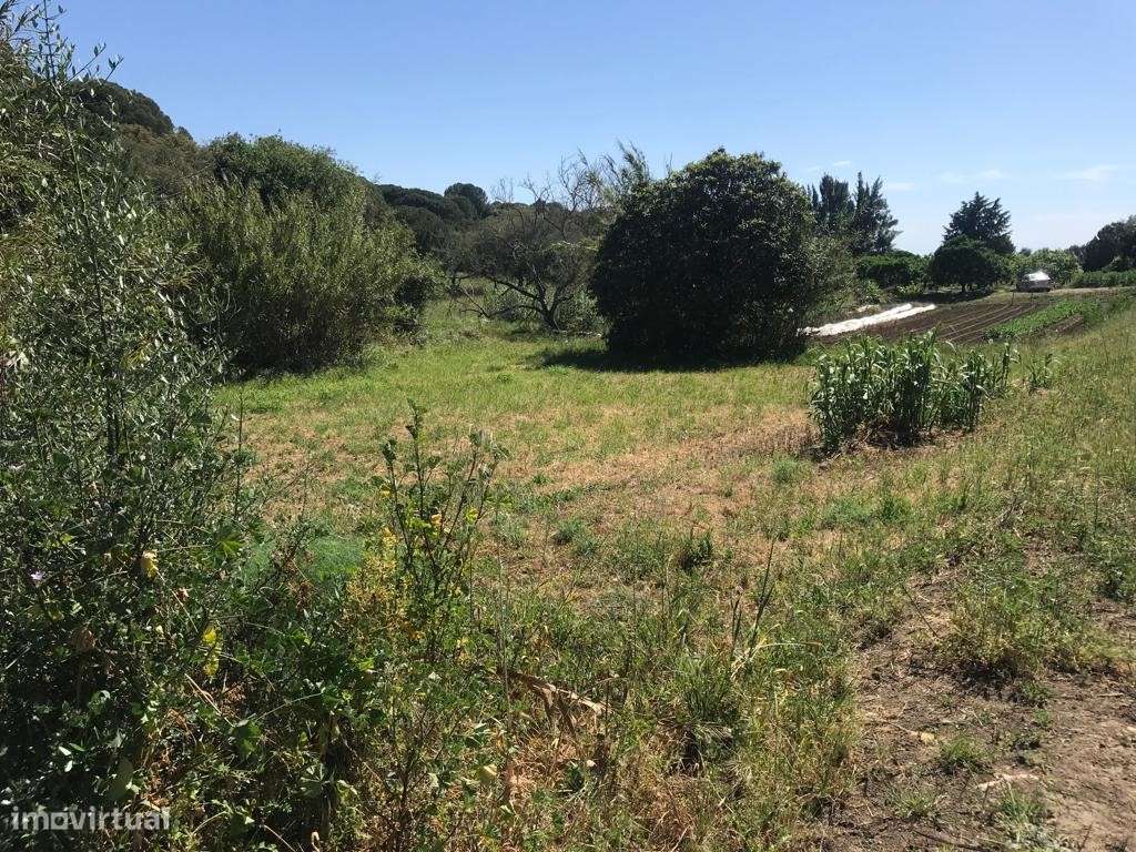 TERRENO Rústico (6.750 m2) - Grande imagem: 5/15