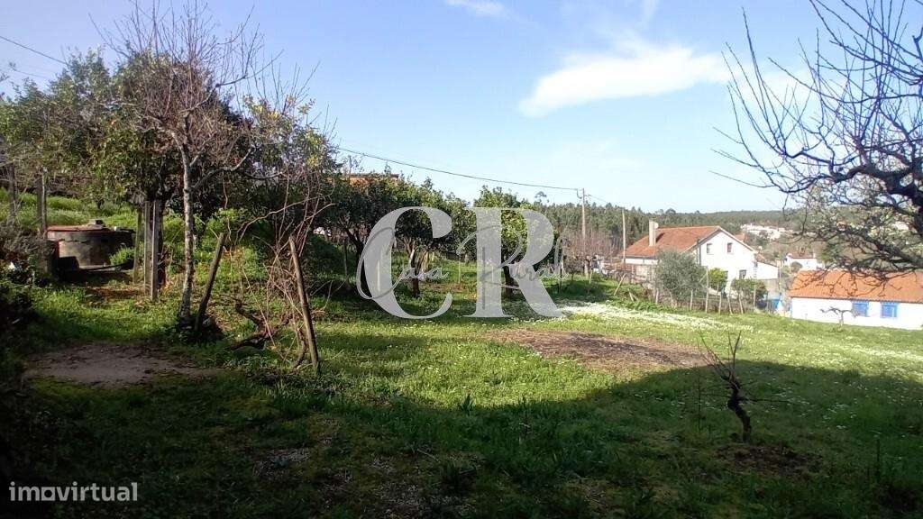 Moradia em pedra em Figueiró dos Vinhos com terreno e poço de água-37