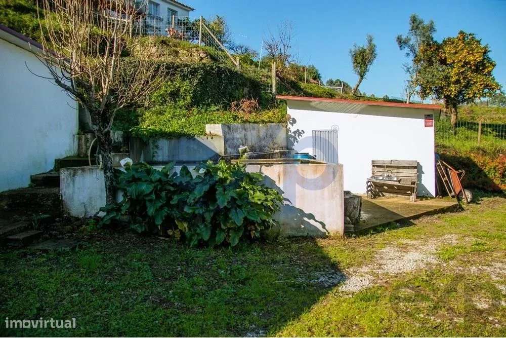 Terreno de 0.8ha, Vinha, Nascente, Água e 2 Anexos, Ponte de Lima - Grande imagem: 5/15