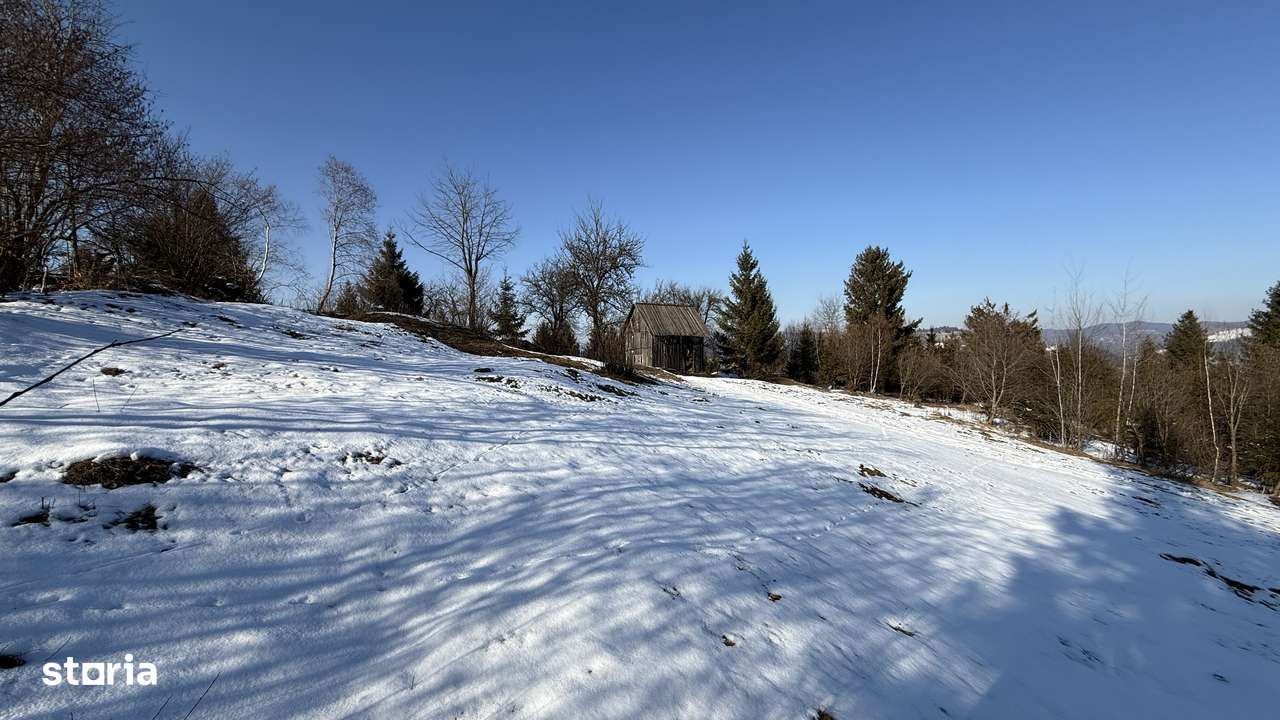 Teren extravilan 2.1 ha Sălătruc, Vama-7