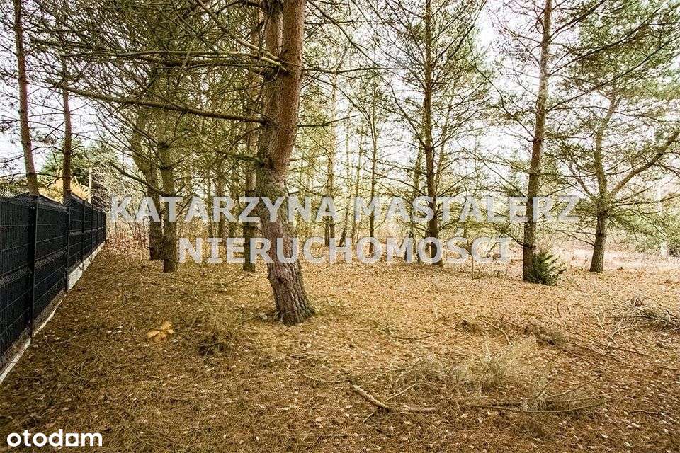 Działka, 2 000 m², Strzeniówka-5