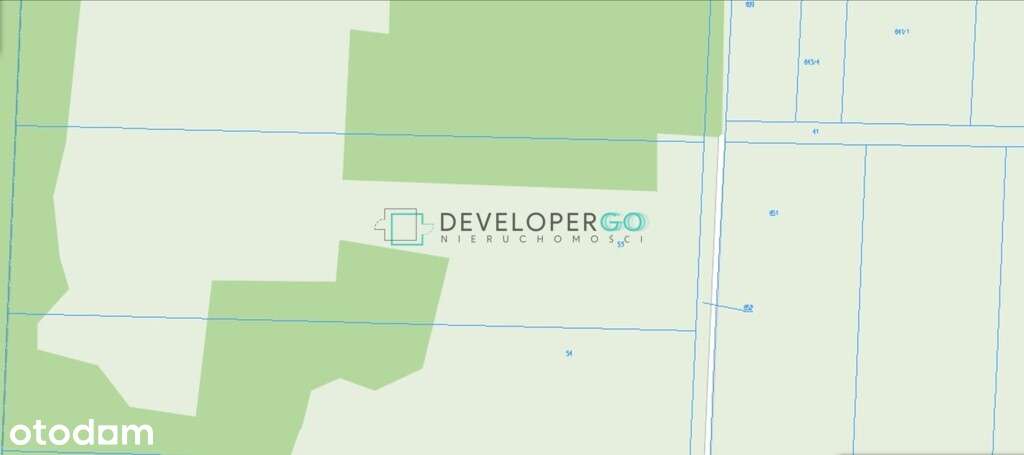 Działka / 1,08ha / Białowieża / Zastawa Krzyże - Pełny obrazek: 5/8