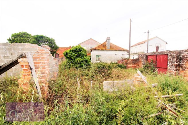Moradia para reconstruir e terreno Localizado em Ervedeira Coimbrão-5