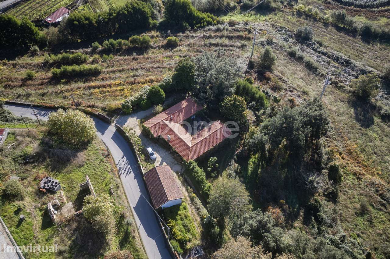 Quinta em Baltar com 35 Hectares de Terreno - Grande imagem: 5/52