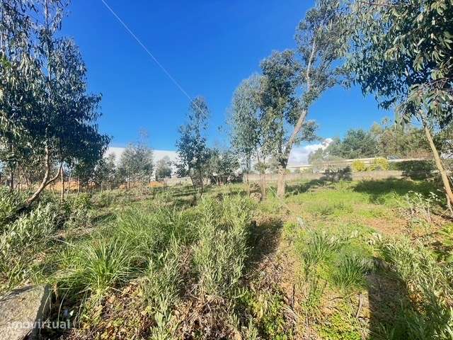 Terreno com 733m2, localizado próximo do Centro de Canelas!-10