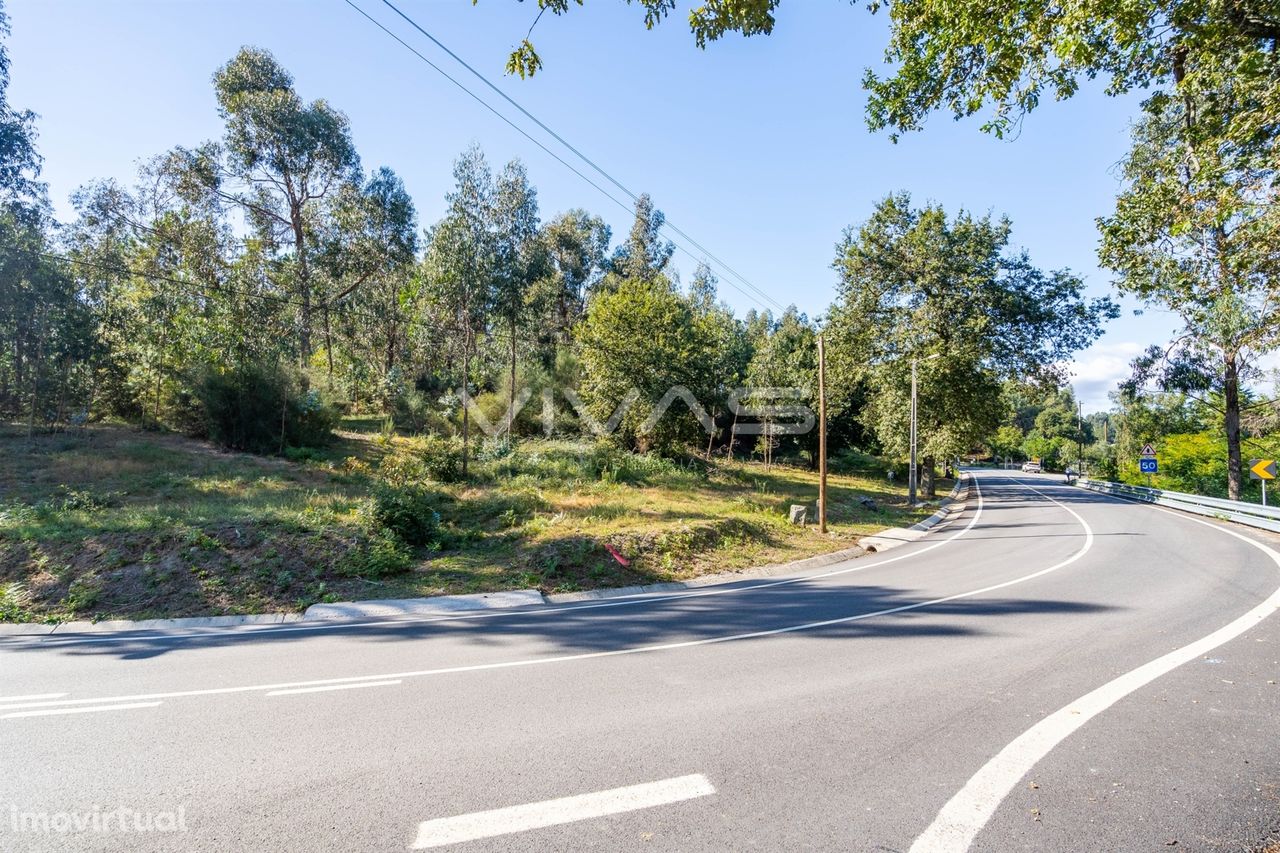 Terreno Rústico  Venda em Pico,Vila Verde