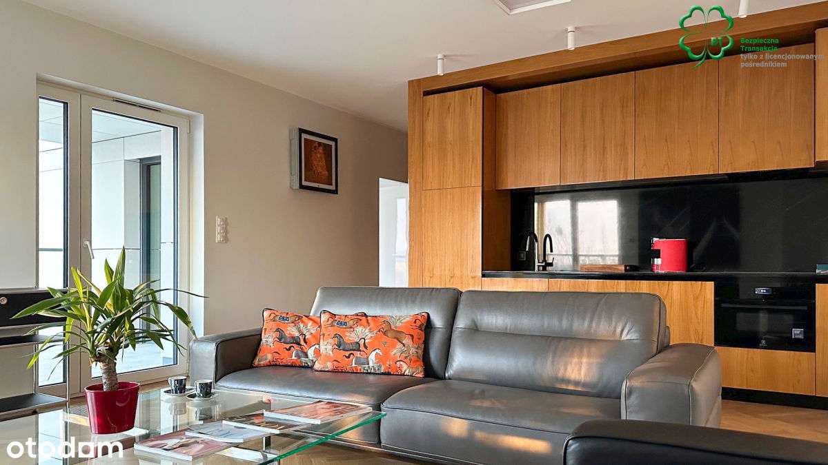 Centrum/Zwierzyniecka,unique apartament for rent - Pełny obrazek: 4/20