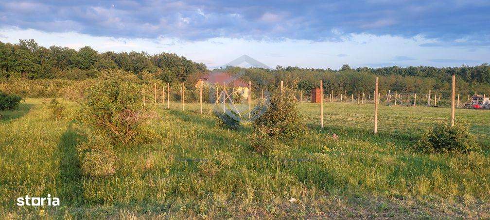 Teren intravilan in Gepiu-1