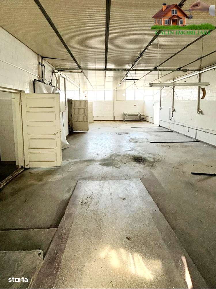 SPAȚII INDUSTRIALE Productie Alimentara  Bucium  50 mp, 60 mp, 109 mp - Imagine principală: 4/9