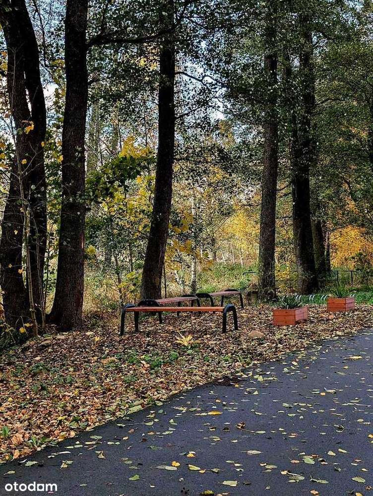 Zaciszna działka w Starym Wielisławiu-5