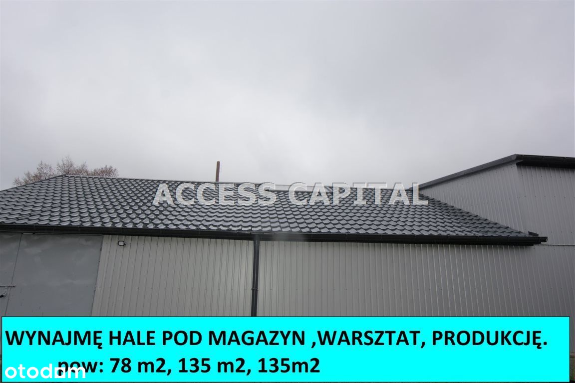 Hala/Magazyn, 135 m², Osiek