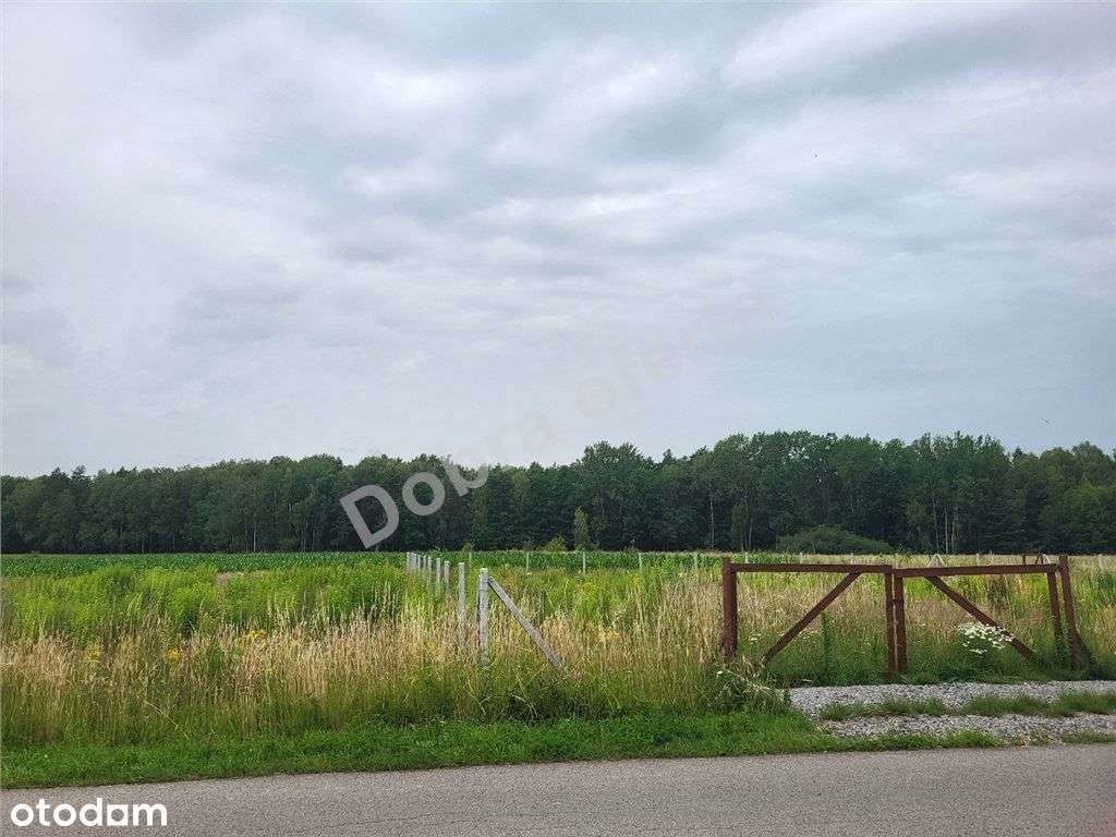 Oferta doskonała dla rodziny-0